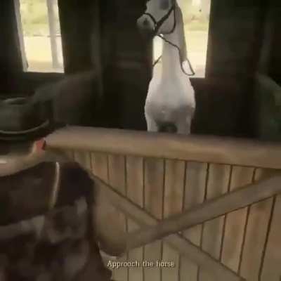 Horse seduction