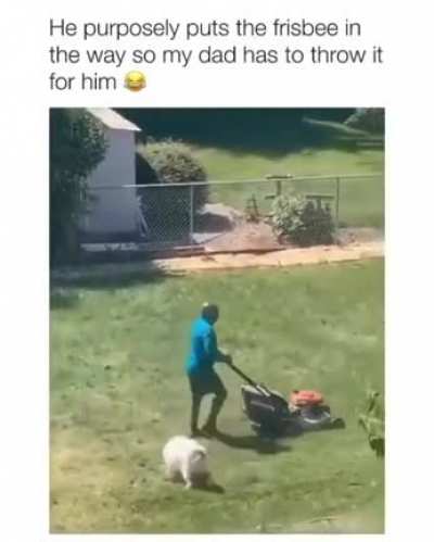 "Throw me the frisbee"