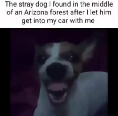 Costly Mistake