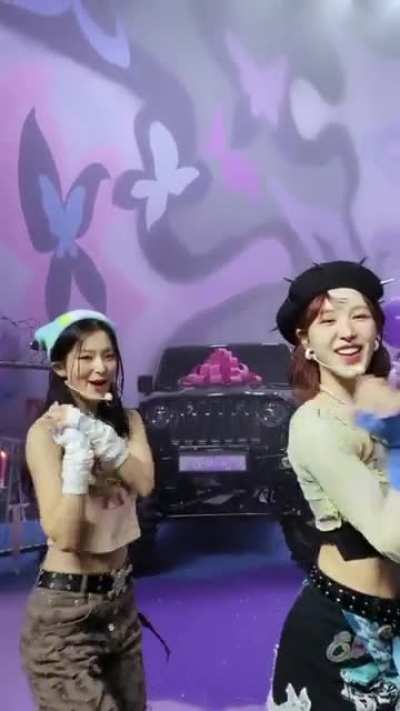221208 Seulgi &amp;amp; Wendy - Birthday (Dance Challenge)