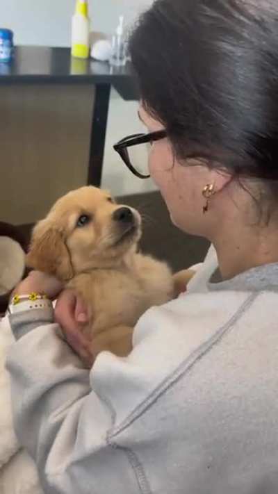 The love in the puppies eyes