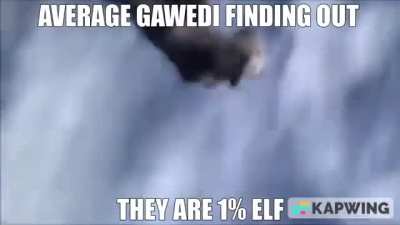 Common Gawedi W