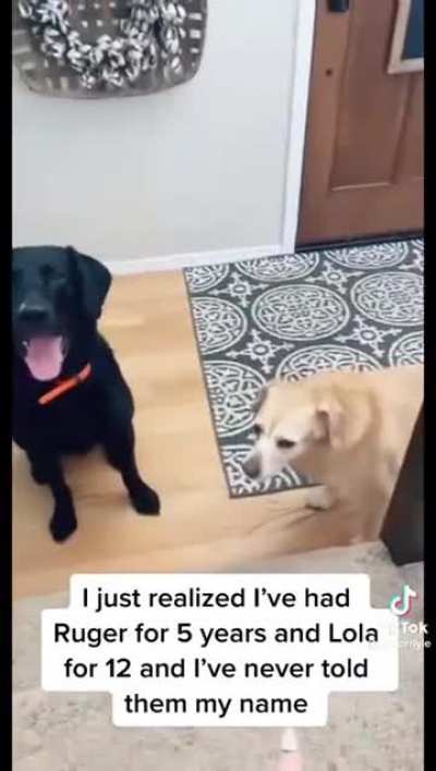 they were like &ldquo;wait..what..she had a name?&rdquo;