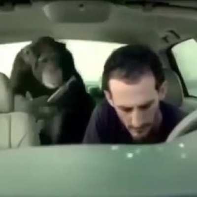 Monky