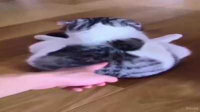 Danc
