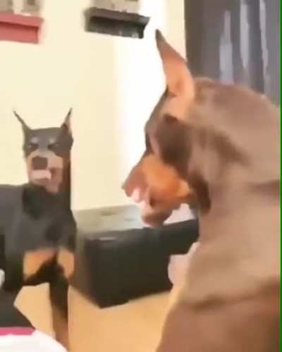 &ldquo;Stop fighting please&rdquo;