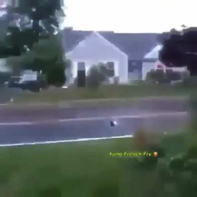 peaceful protest
