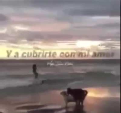 LA DEFINICIÓN DE AMOR PURO😍🥰