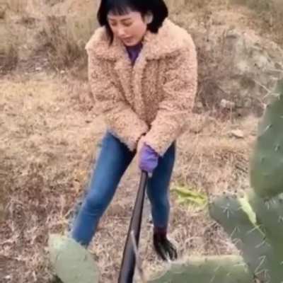 Ответочка