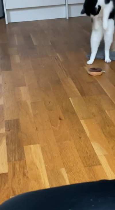 He jump