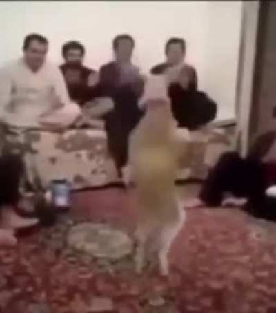 This is how Christmas went down