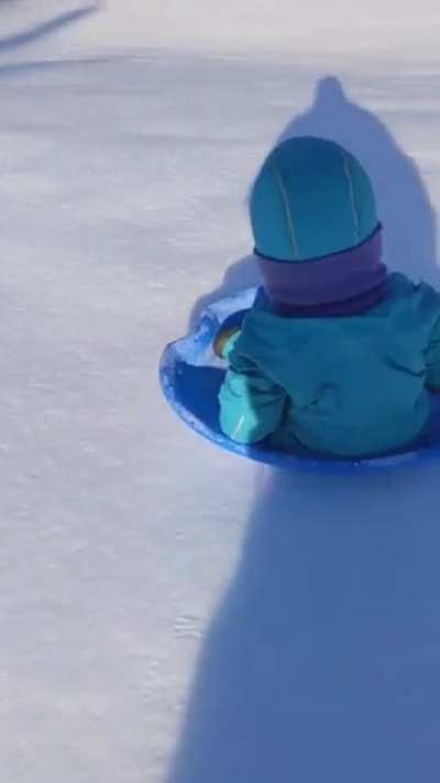 WCGW sledding in the path of a dog taking a poo