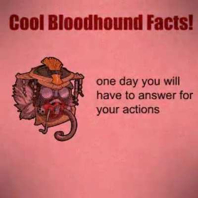 cool bloodhound facts {OC}