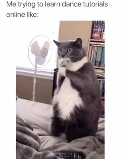 me irl