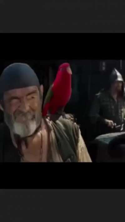 bird ATTACC
