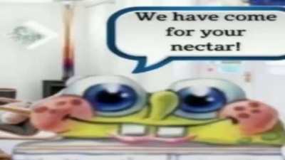 They have come for nuclear nectar