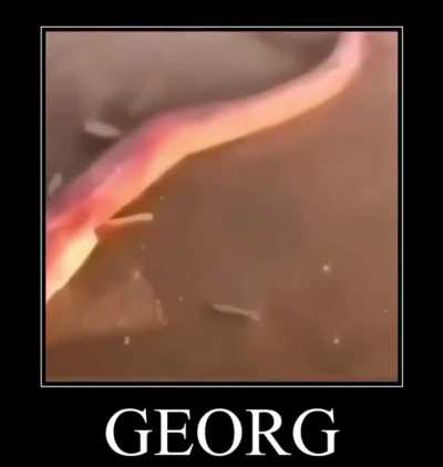 cursed_géõrg