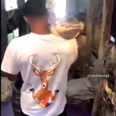 Pet