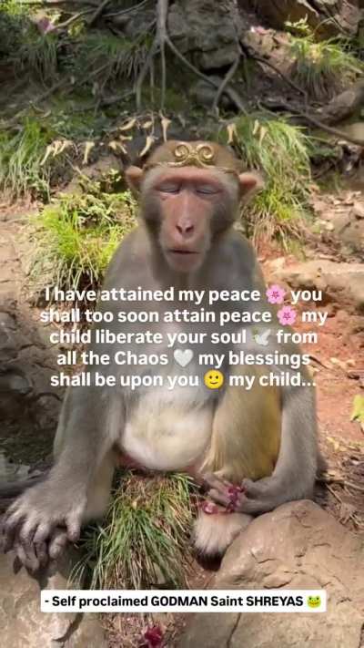 Peace