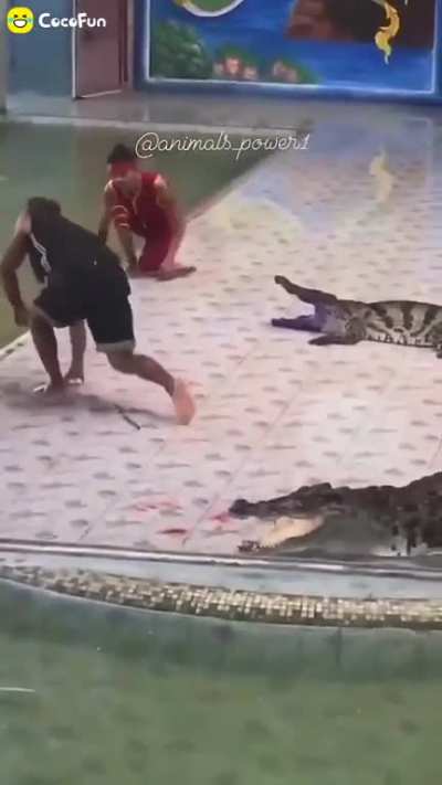 Poor gators!