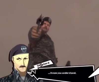 A P5 meme I stole