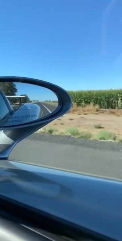 Look at all this fucking $CORN it only grows up