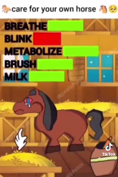 Horse
