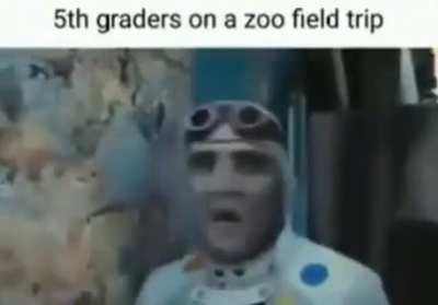 yo momma