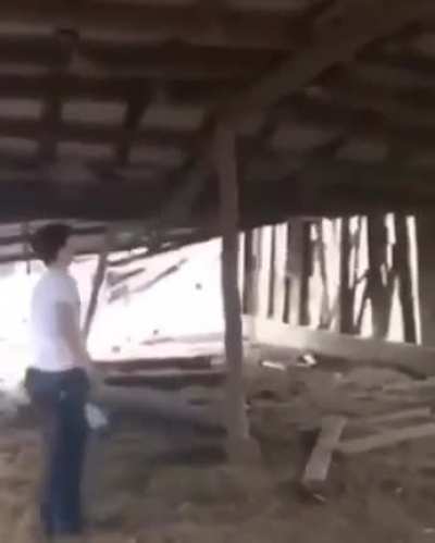"And about the new demolition contractor, how do they handle safety and such?" "Well..."