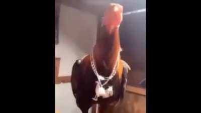 Drip Cock