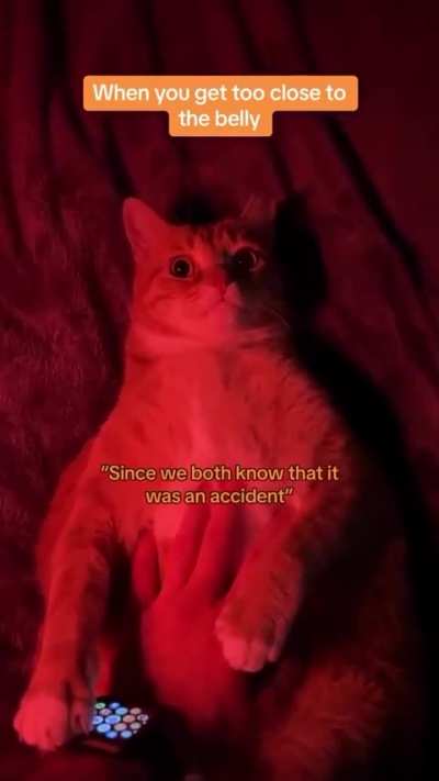 Never touch the belly! 