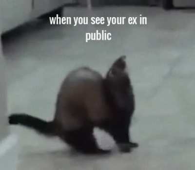 Nope, not gonna make eye contact