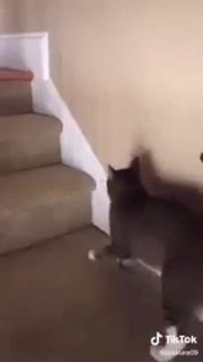 I'm just gonna got upstairs 😵😵&zwj;💫