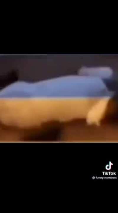 slava ukraini💣