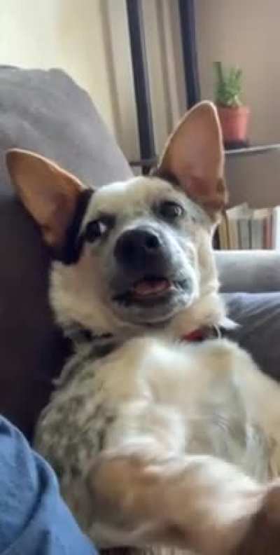 GIB ME ATTENTIONNNNN