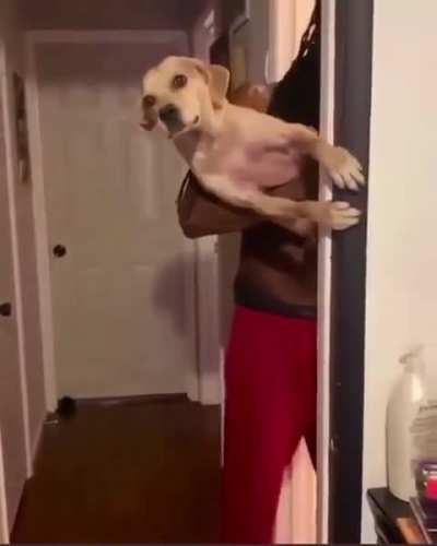 "I will never give up!"