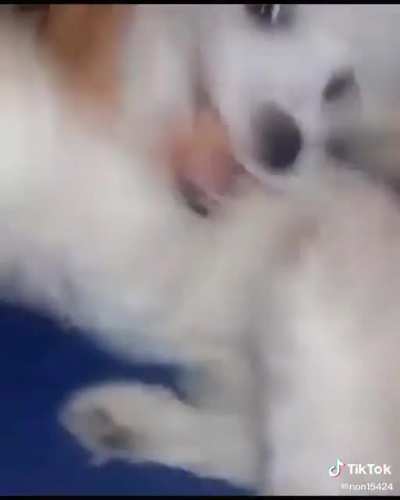 😳