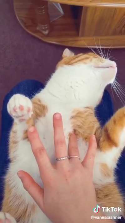 I trusted you human