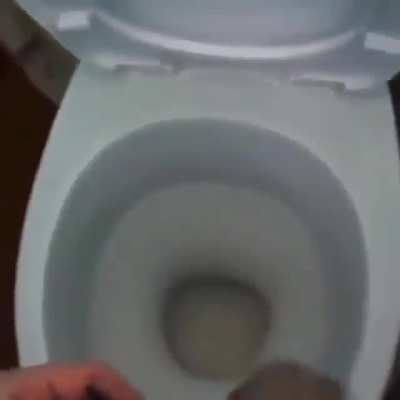 Tudo normal
