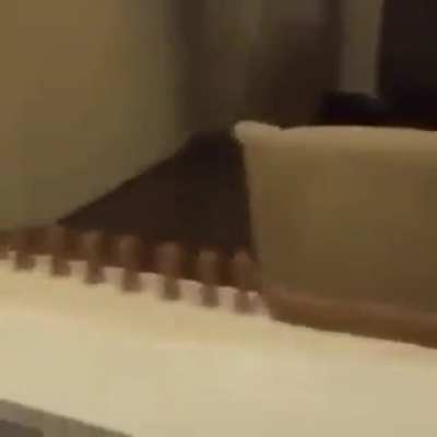 To make a chocolate domino row
