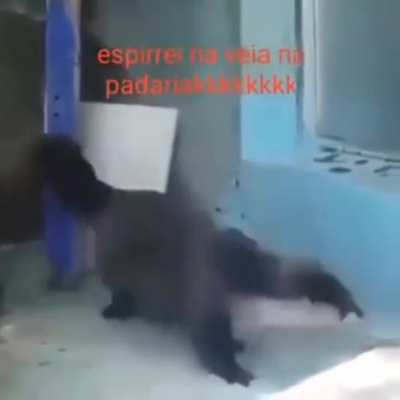 KKKKKKK &oacute;leo de lontra