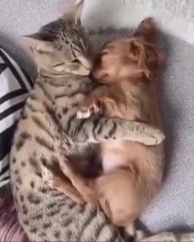 Here's to you finding that special somebody who will keep you safe and comfy!