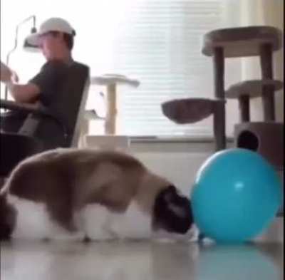 ?