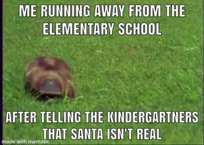 Duck beaver be like