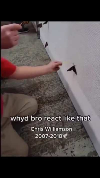 why ?