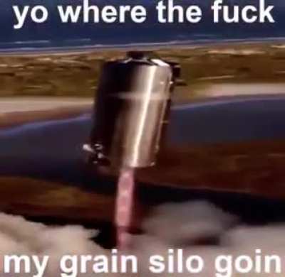 🌚