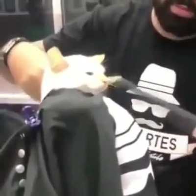 Corta s&oacute; as pontas tio