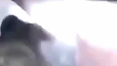 342