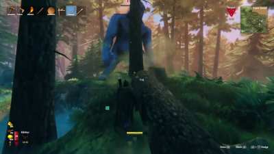Bonk