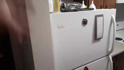 My fridge is heavenly.